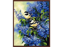 PO-G1_62 ���_�� �� ����� ���_��� 40�50,600�.jpg