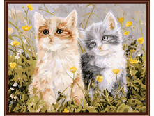 PO-G2_94 ��_��� � ����� 40�50,600�.jpg