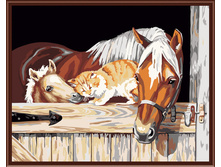 PO-G3_48 ������ 40�50,600�.jpg