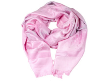 SC0093 ��������