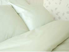 ���������� ���������� ����� «Oliva».jpg