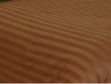 ���������� ���������� ����� «������».jpg