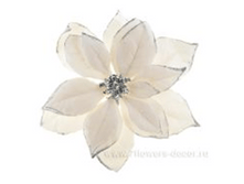 8718533982862	������� ��������� �� ����� "���������", 24�� (�����)	260,00