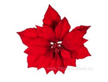 8718533982848	������� ��������� �� ����� "���������", 24�� (�����)	260,00