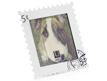 ��������� Instapic ����� ����� 185�.+%.jpeg