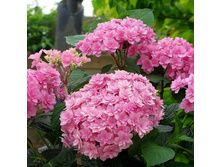 299���. ��������� �������������� � ��� �� ���������.jpg