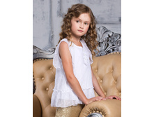 529-060  450���