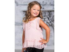 529-060  450���