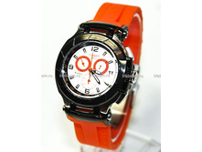 �������: CTS0113-01