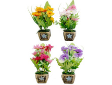 ������ � ������ "����������" 18��