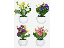 ������ � ������ "�������" 15��