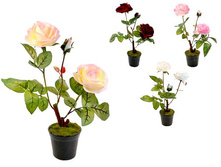 ���� � ������ �=32��