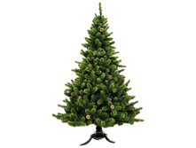 ������ � ����� � ������� �����.