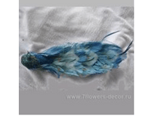 4606500439140	������� ��������� �� ����� "������", 36.5�� (����)	514,00