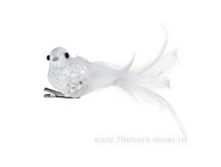 4606500432608	����� ������� ��������� �� ����� "������", 11�� (2��.)	274,00