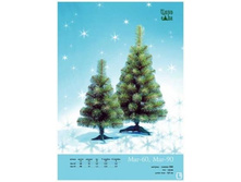 ��� ������������� ���.