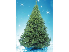 ��� ������������� �����.