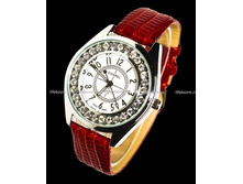 �������: GC110