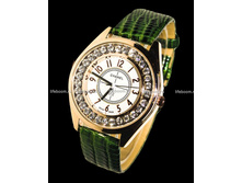 �������: GC109