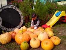 IMG_20140827_113321.jpg