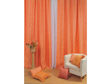 ���� (��������).jpg