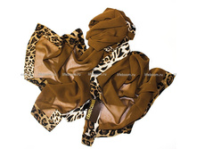 �������: PPP113