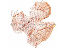 �������: PPP1116