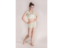 �������� 01035+1036