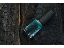 ���� 2. ��������