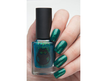 ��������-���.����