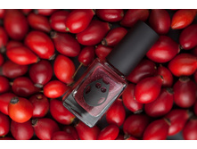 ���� 1. �������