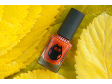 ���� 3. ���������