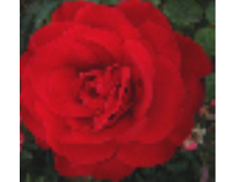 �����.jpg