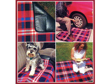 ���� ������ ������� ������.jpg