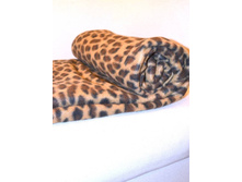 ���� �������� �������.jpg