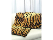 ���� �������� ����.jpg