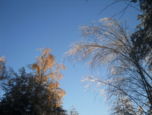 DSCN2773.JPG