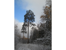 DSCN2703.JPG