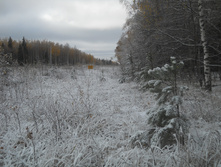 DSCN2726.JPG