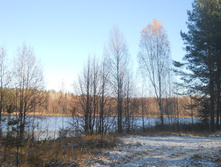 DSCN2764.JPG