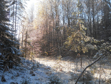 DSCN2768.JPG