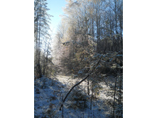DSCN2767.JPG
