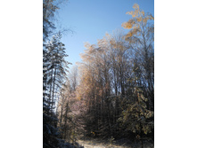 DSCN2769.JPG