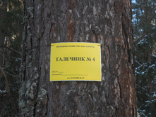 DSCN2771.JPG