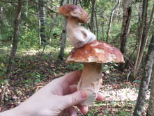 2014 �. "�������� ��������".jpg