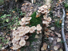 2014  �. �����. jpg