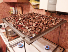 ����� .jpg