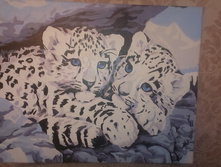 ����� mis2087