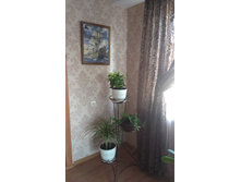 ����� mis2087