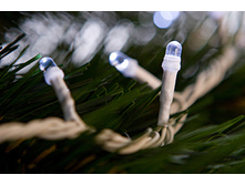 �031006 ��������������� ��������� 6,0�. 100� 8� ����� �.������ 565 �.jpg